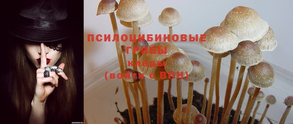 PSILOCYBIN Вязники